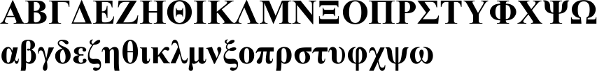 Times New Roman Bold